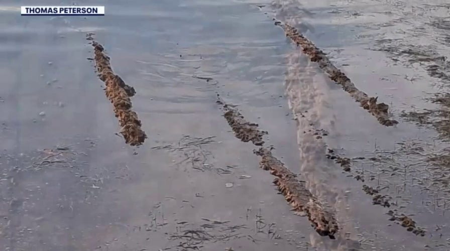Man, grandson discover possible 19th-century shipwreck in Florida