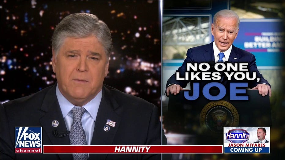Hannity: Democratic Party and its media mob allies ‘in an utter state of chaos’