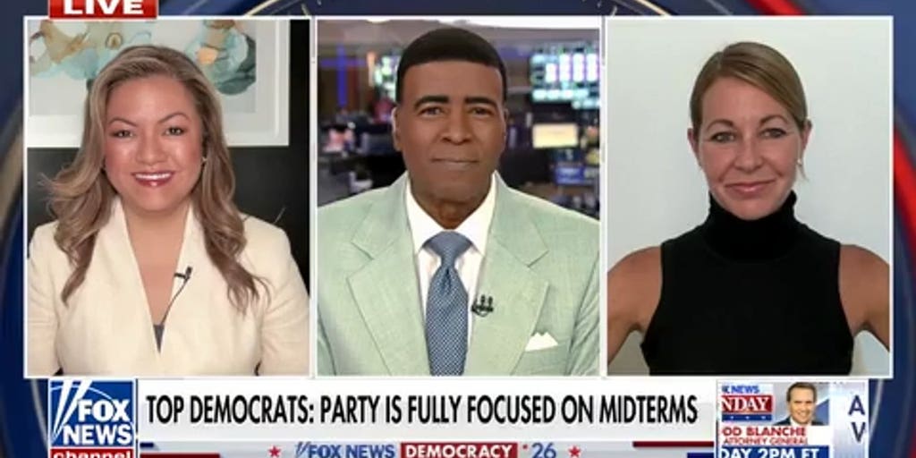 Political strategists clash over over growing divisions within Democratic Party