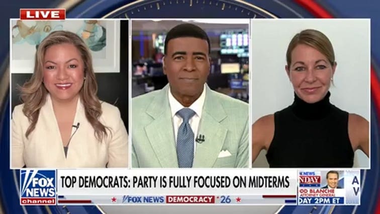Political strategists clash over over growing divisions within Democratic Party