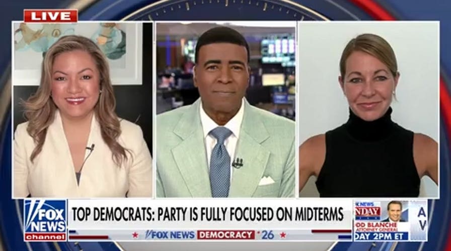 Political strategists clash over over growing divisions within Democratic Party