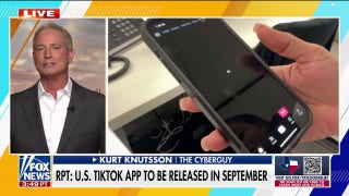 US reportedly expected to release American-based TikTok app
