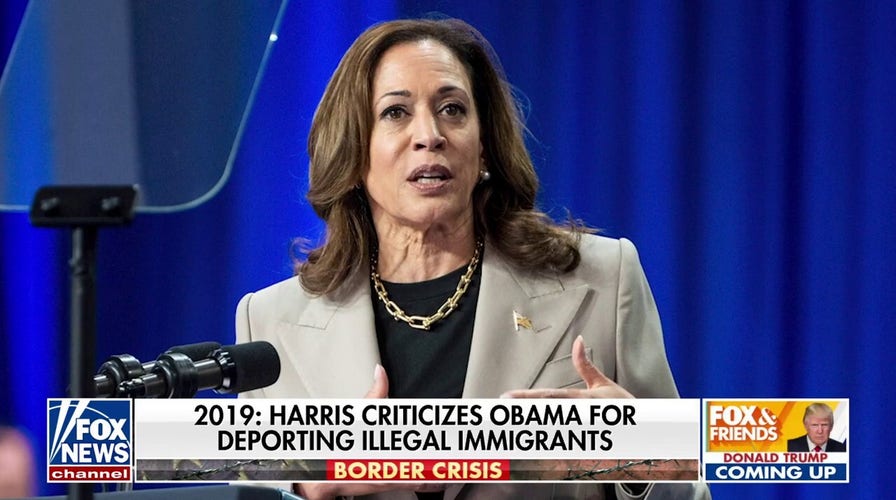 Mike Huckabee calls out Kamala Harris on border crisis: 'This is a sham'