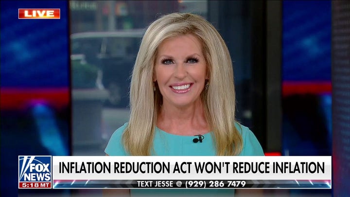 Democrats think you’re that stupid: Monica Crowley