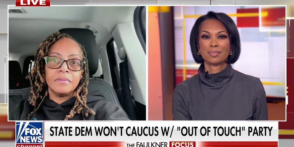 Michigan Democrat won’t caucus with ‘disconnected’ party