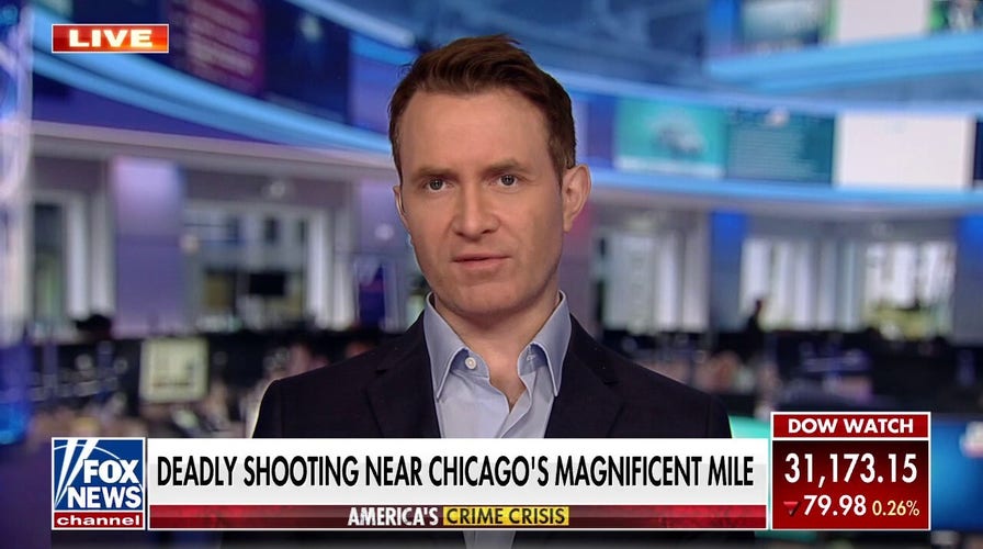Gun violence crisis in Chicago is 'on her:' Douglas Murray denounces Mayor Lori Lightfoot after public statement