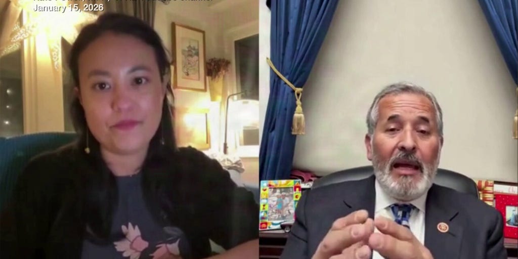 California's Rep. Vargas says ICE 'shouldn’t continue as it is' and should have funding removed