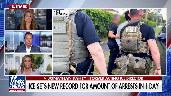 Sanctuary cities have been 'put on notice,' former acting ICE director says