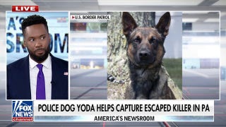 How a police dog helped capture an escaped killer - Fox News