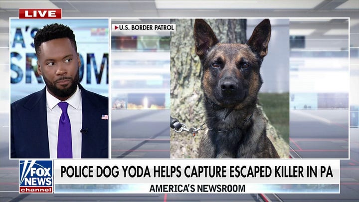 How a police dog helped capture an escaped killer