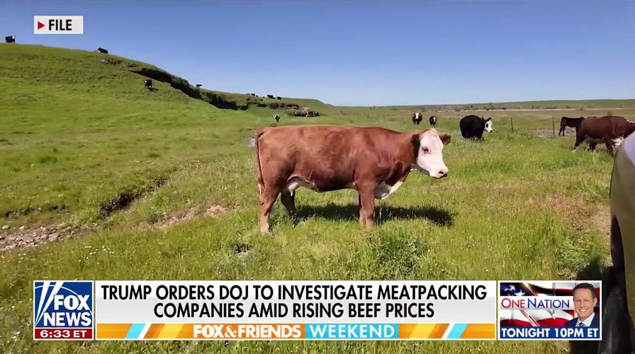 America's smallest cattle herd in 70 years means rebuilding will take years and