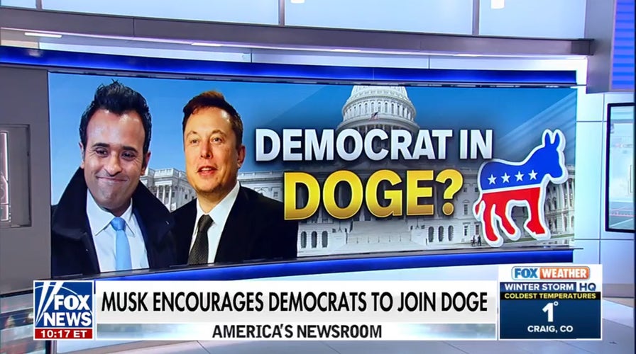 Elon Musk calls for ‘bipartisan effort’ with DOGE