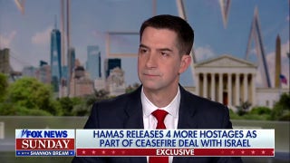 If Hamas wants to continue cease-fire, 'they need to respect every single term of that deal': Tom Cotton - Fox News