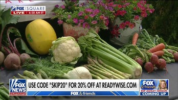 Get into gardening this summer 