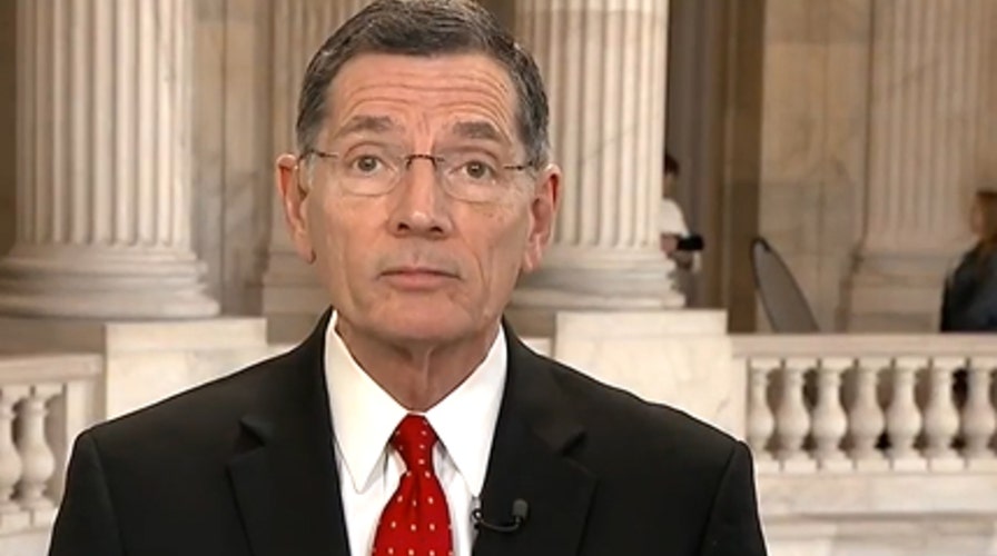 Sen. John Barrasso: 'Disturbing' to see Schumer, Dems politicize coronavirus