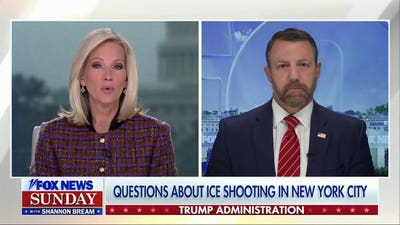 ICE shooting in NYC sparks questions, poll says they've 'gone too far'