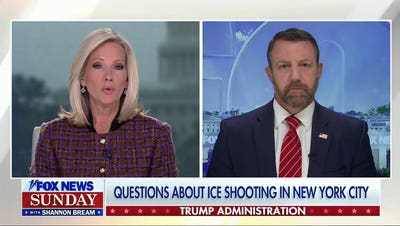 ICE shooting in NYC sparks questions, poll says they've 'gone too far'