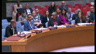 Father of hostage in Gaza calls on UN Security Council to enforce resolution