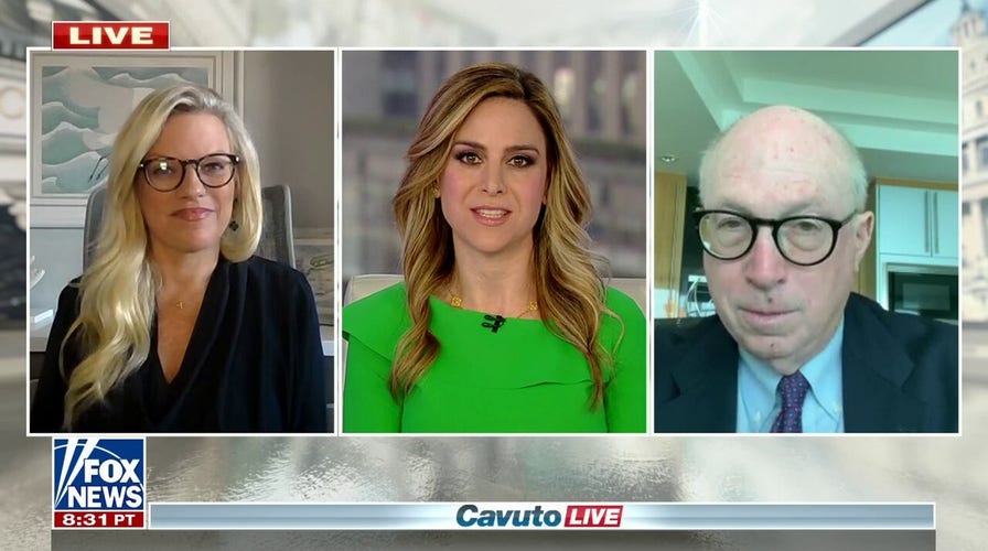 Democrats, Republicans would ‘benefit by new and younger leadership’: Doug Schoen