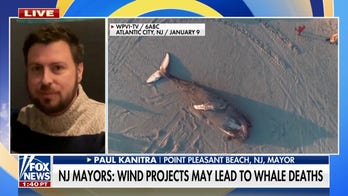12 NJ mayors sign a letter to halt offshore wind projects