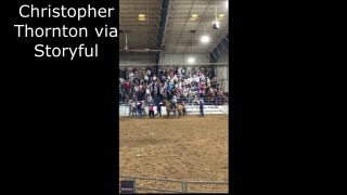 Rodeo bull breaks out of holding pin at Florida State Fairgrounds - Fox News