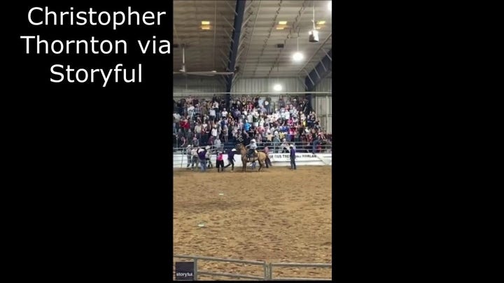 Rodeo bull breaks out of holding pen at Florida State Fairgrounds