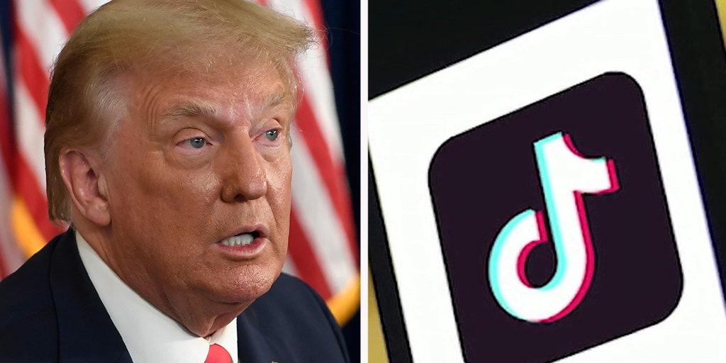 TikTok Reportedly Set To Sue Trump Administration Over Potential Ban ...