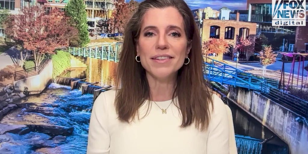 Nancy Mace sounds off on protesters who disrupted town hall