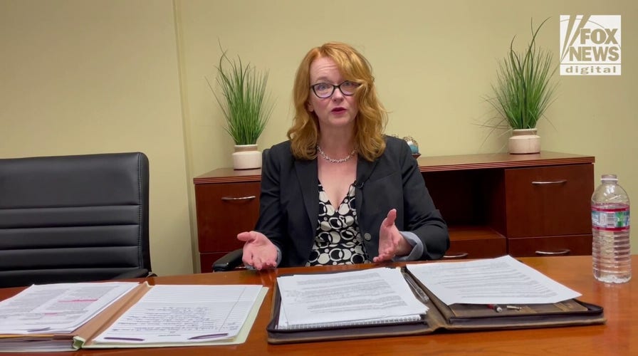 Napa County District Attorney speaks on court materials release date and the victim in Paul Pelosi's DUI incident