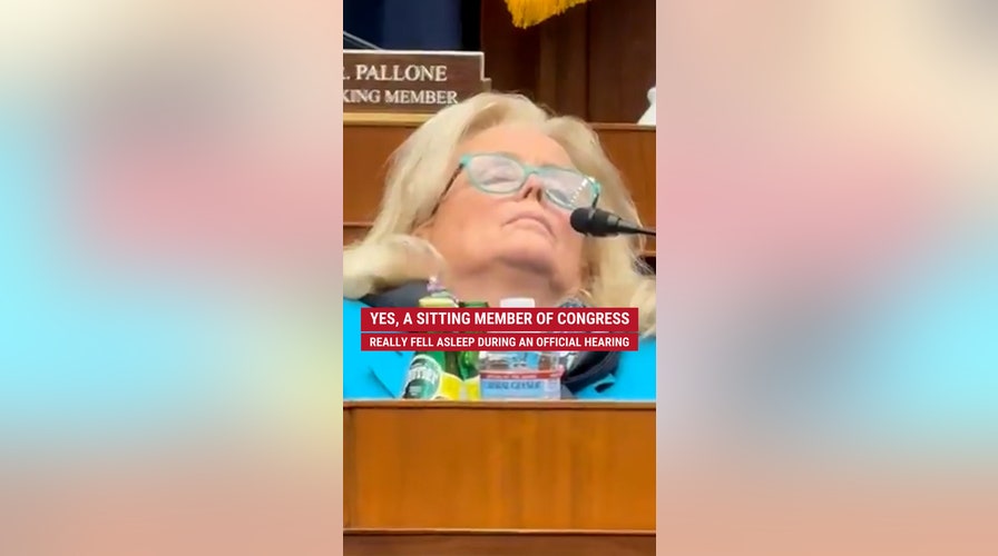 A sitting member of Congress really fell asleep during an official hearing