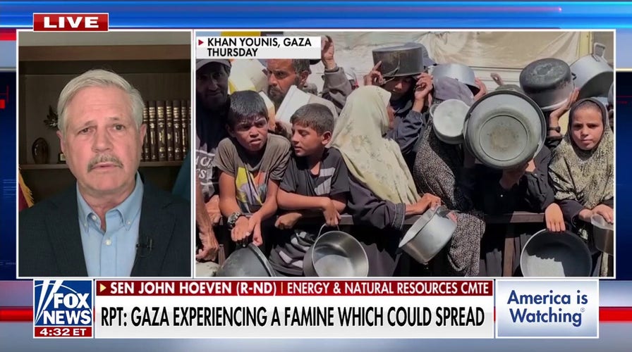 GOP senator insists Israel is doing ‘everything’ it can to get food into Gaza, but Hamas is interfering