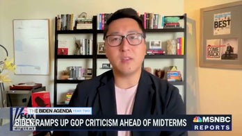 DNC adviser on MSNBC says GOP mirror actions taken by Nazi Germany, the Bolsheviks