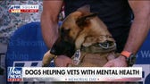 K-9 service dog program works to help veterans struggling with mental health