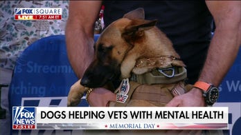 K-9 service dog program works to help veterans struggling with mental health