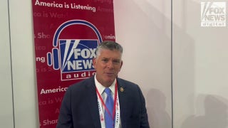 DNC set to be week of ‘chaos and dysfunction’ as Biden weighs future: Illinois congressman - Fox News