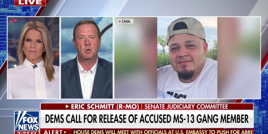 Democrats are moving to 'political oblivion' with their call to release accused MS-13 gang member, declares GOP senator