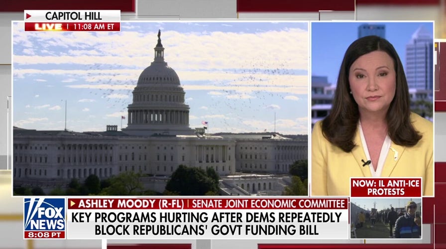 Sen. Ashley Moody accuses Dems of 'blindly following' Chuck Schumer