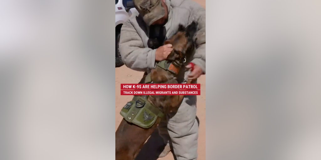 K-9s are helping Border Patrol track down illegal immigrants