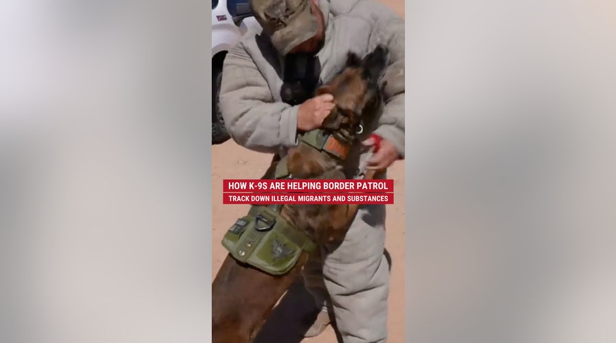 K-9s are helping Border Patrol track down illegal immigrants