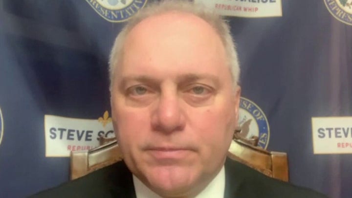 Rep. Scalise: COVID-19 testing on Capitol Hill has been offered to Pelosi, she turned it down