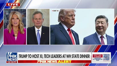 'Very important' to see Trump and Xi working in a 'constructive' manner: GOP lawmaker