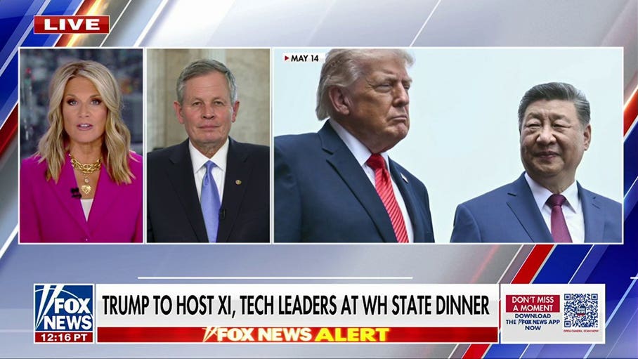 'Very important' to see Trump and Xi working in a 'constructive' manner: GOP lawmaker