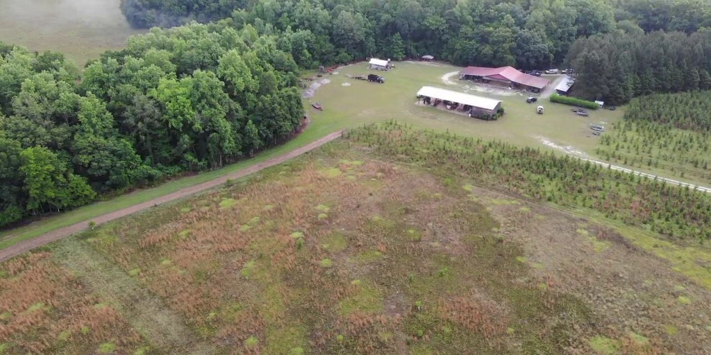 Drone footage of Alex Murdaugh's Moselle estate Fox News Video
