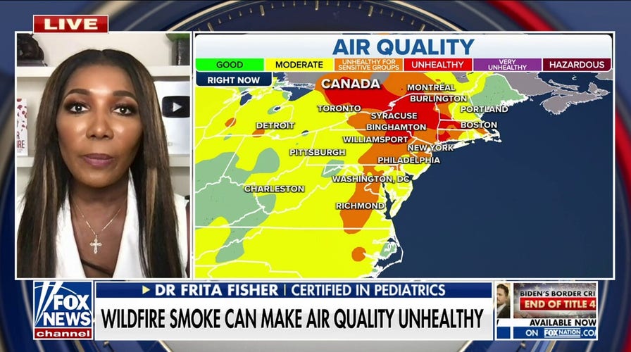 Why breathing in wildfire smoke can cause a 'huge' inflammatory reaction: Dr. Frita Fisher