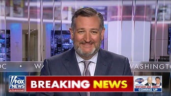 This was designed to get Hunter ‘zero jail-time’ and protect the 'big guy' : Sen. Ted Cruz