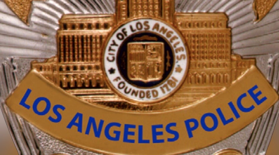 Los Angeles is latest city to consider plan to replace uniform police officers with 'response team' 