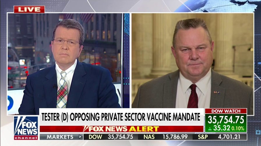 Private sector vaccine mandate 'problematic' for businesses: Montana senator