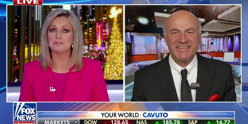 Kevin O'Leary: The regulatory environment will be ripped away