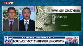 CEO explains how Musk can push for 'transparency' in government spending - Fox News