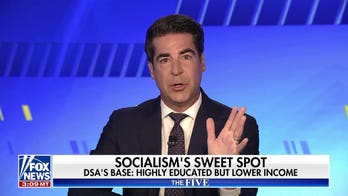 Inside the DSA's base: Who makes up the Democratic socialists' core voters?